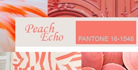  Peach Echo  / Персиковое эхо (Pantone 16-1548)